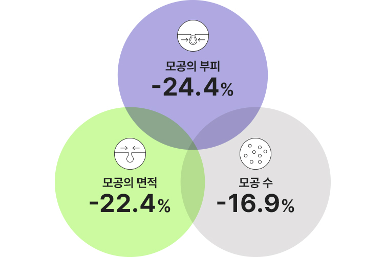 모공의 부피 : -24.4% / 모공의 면적 : -22.4% / 모공 수 : -16.9%
