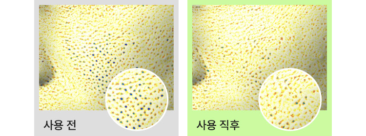사용 전 / 사용 직후 비교
