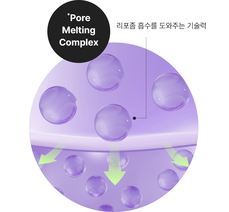 *Pore Melting Complex / 리포좀 흡수를 도와주는 기술력