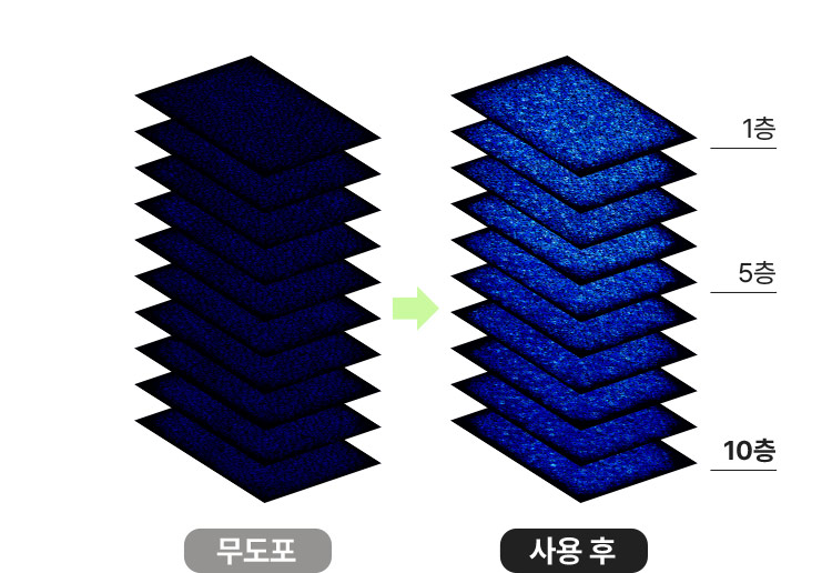 1층 부터 10층까지 각질층