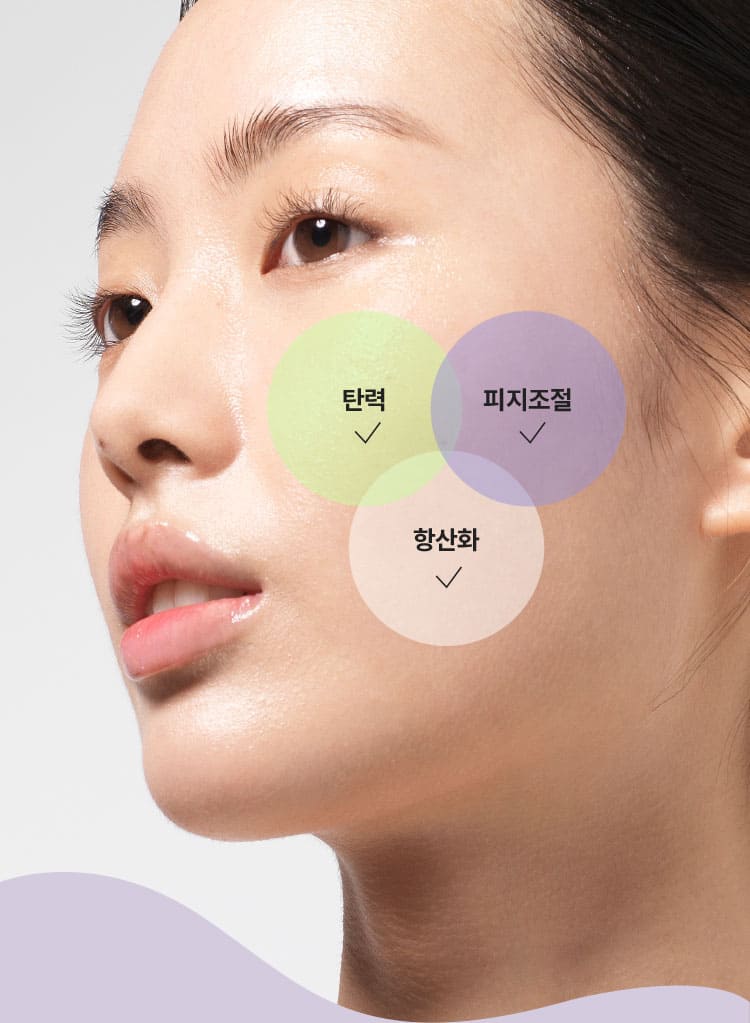 탄력, 피지조절, 항산화